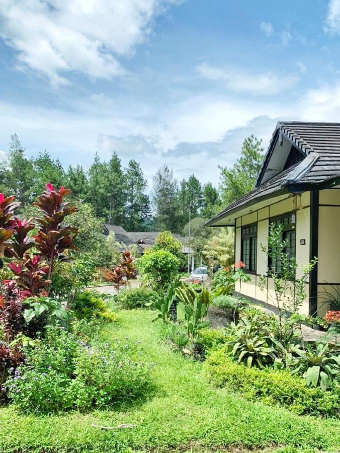 Designer Villa Osaka Puncak Exterior foto